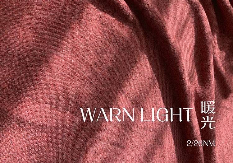 WARN LIGHT